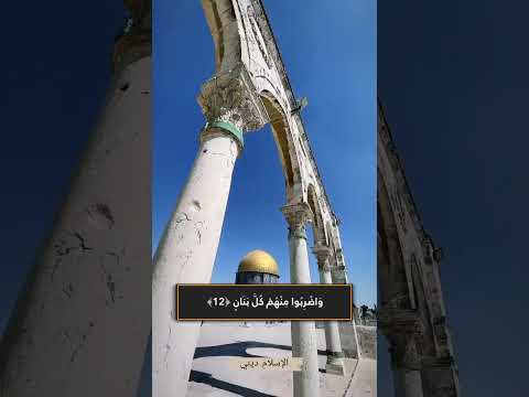 سألقي في قلوب الذين كفر الرعب أحمد النفيس