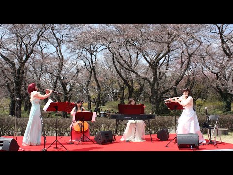 クラシック 生演奏 演奏家派遣　クラシックユニット「La turip（ラ・チュリップ）」 ハンガリー舞曲
