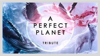 A PERFECT PLANET | Un Planeta Perfecto | Tribute 4K