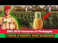 What’s Really Behind 350,000 Hectares of Pineapples in Traoré’s Desert?