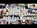 EXO-CBX (첸백시) &#39;花요일 (Blooming Day) &quot;Reaction Mashup