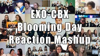 Download Lagu EXO-CBX (첸백시) '花요일 (Blooming Day) \ MP3