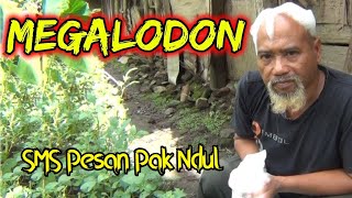 SMS Pesan Pak Ndul - 30 detik - Story WA
