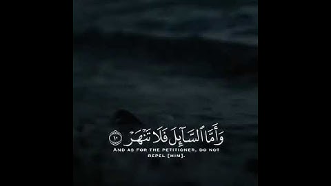 ماهر المعيقلى ارح سمعك.. تلاوة هادئة تريح القلب والعقل💙🎧💖 | مقاطع قصيرة حالات واتس اب دينية