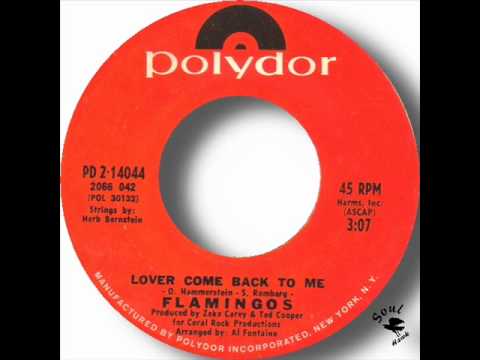 Flamingos - Lover Come Back To Me.wmv