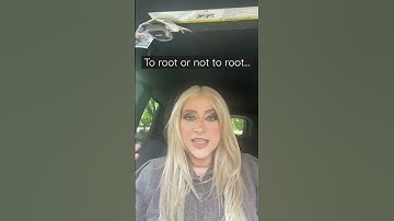 To Root Or Not To Root This Wig?!? #syntheticwigs #wigcare