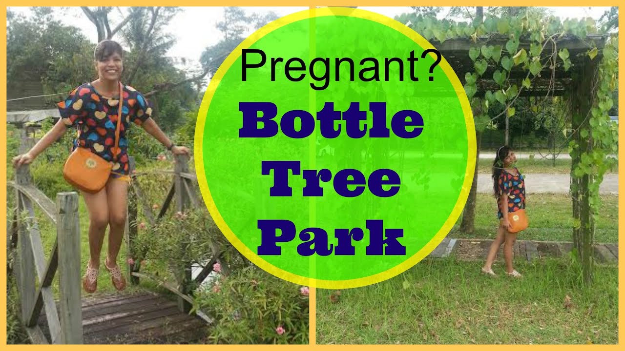 Am I Pregnant?Bottle Tree Singapore TourSuperPrincessjo YouTube