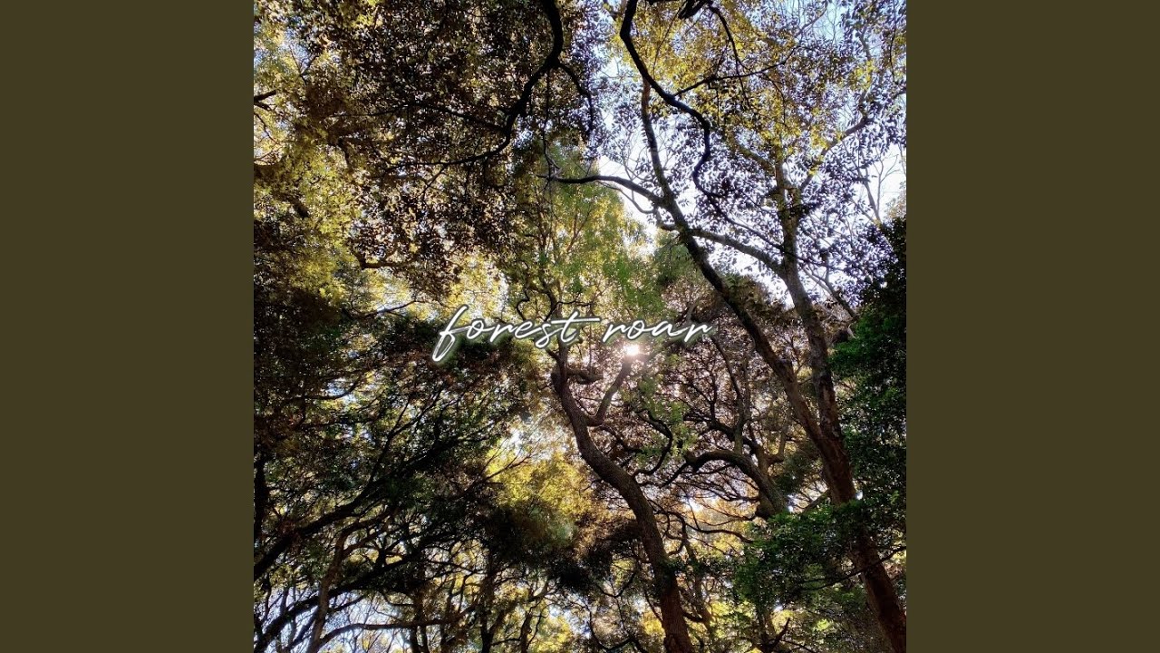 Obejrzyj forest roar w YouTube Obejrzyj forest roar w YouTube