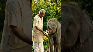 दादा और हाथी की अनोखी दोस्ती 🐘❤️ | Emotional Hindi Story | Moral Story for Kids