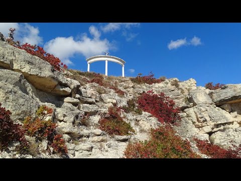 Video: Stebuklingi Grybai Ir Delfinai: Tortola - Matador Network