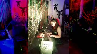 Hedwigs Theme, John Williams - Mía Resimi