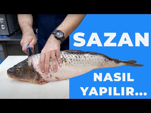 SAZAN NASIL TEMİZLENİR VE PİŞİRİLİR HOW TO CLEAN AND COOK CARP (BALIK TEMİZLEME)