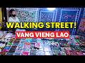 Walking Street Night Market in Vang Vieng Laos! Full Walking Tour 🇱🇦
