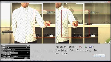 Real-time 3D Hand Pointing Recognition using Appearance Difference between Two Camera Images