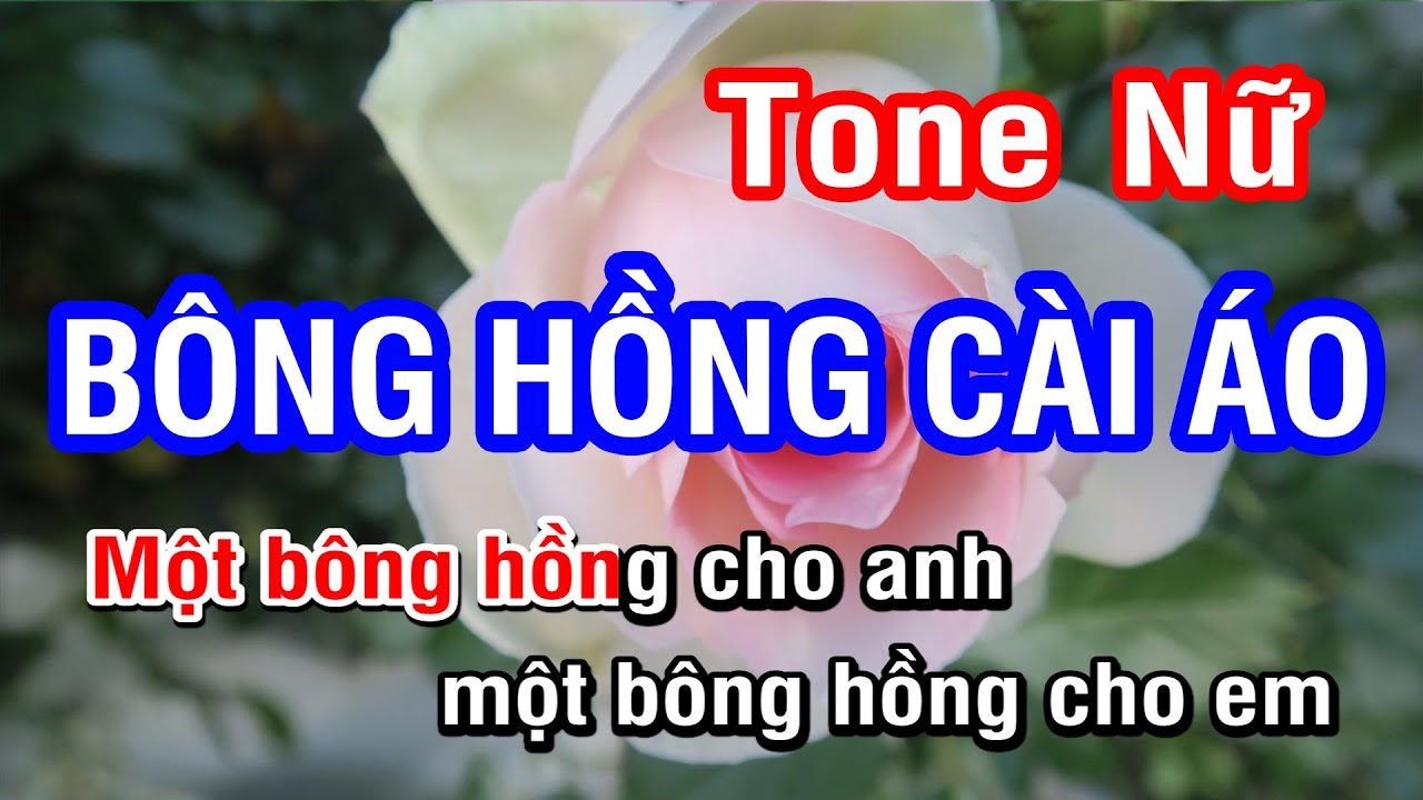 Bông Hồng Cài Áo (Karaoke Beat) - Tone Nữ | Nhan KTV