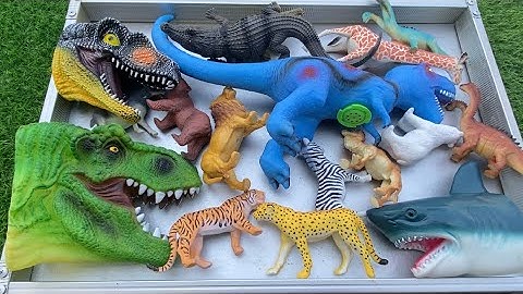 Changcady dậy đọc nhận biết các con vật động vật - Khung long - cá sấu - Cá mập - Sư tử