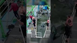 Речные турбины работают как стая #технологии #инновации #short