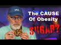 The actual cause of obesity sugar with kevin hall