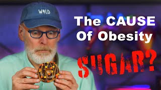 The ACTUAL Cause of Obesity. Sugar? With Kevin Hall.