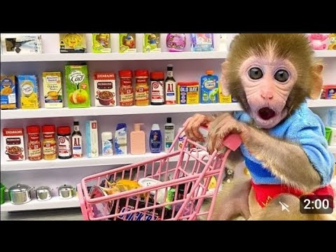 Monkey Baby Bon