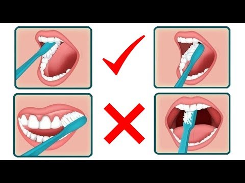 బ్రష్ ఎలా చేస్తున్నారు ఎలా చెయ్యాలి | జుట్టు ఎలా దువ్వాలి ఎలా దువుతున్నారు | How to brush your teeth