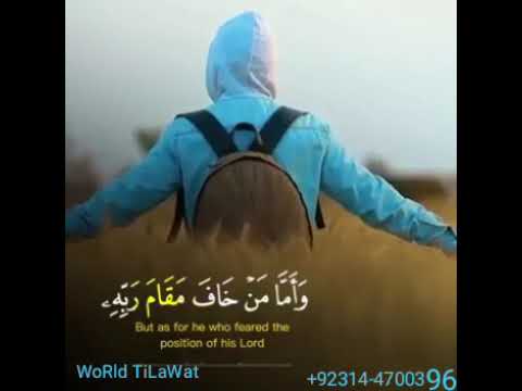 Tilawat - YouTube