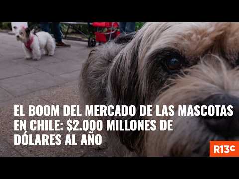 El boom del mercado de las mascotas en Chile: $2.000 millones de dólares al año