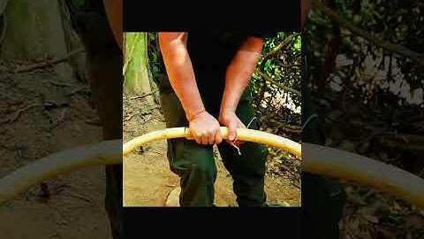 Servive the forest | prime video | full episode | jungle life | jungle book | Hazen is venturing 