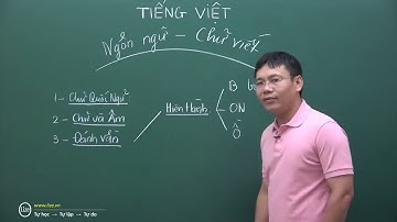 Đồng minh của GS Hồ Ngọc Đại lên tiếng về cải cách tiếng Việt.