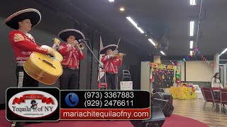Video voorbeeld van "Señora Señora (Mariachi Tequila of New York)"