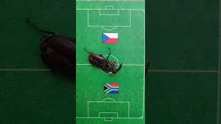 FIFA Fußball-Weltmeisterschaft Spiel 18. 06. 2026 Live Tschechien vs Südafrika #SummerOfGoals Orakel