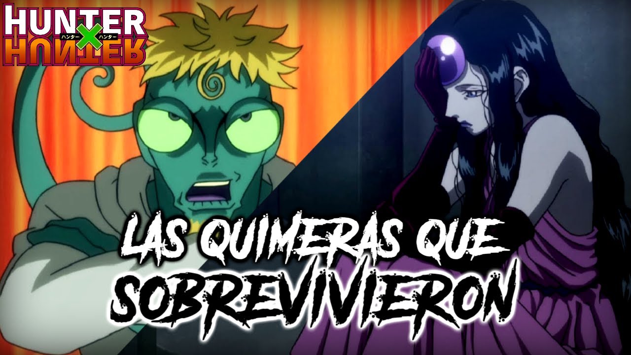 HUNTER X HUNTER LAS HORMIGAS QUIMERA QUE SOBREVIVIERON YouTube