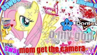 MLP MLG Fluttershy Gets Her Own Castle