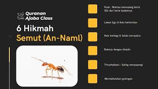 Hikmah Semut #TadabburBarengWildan