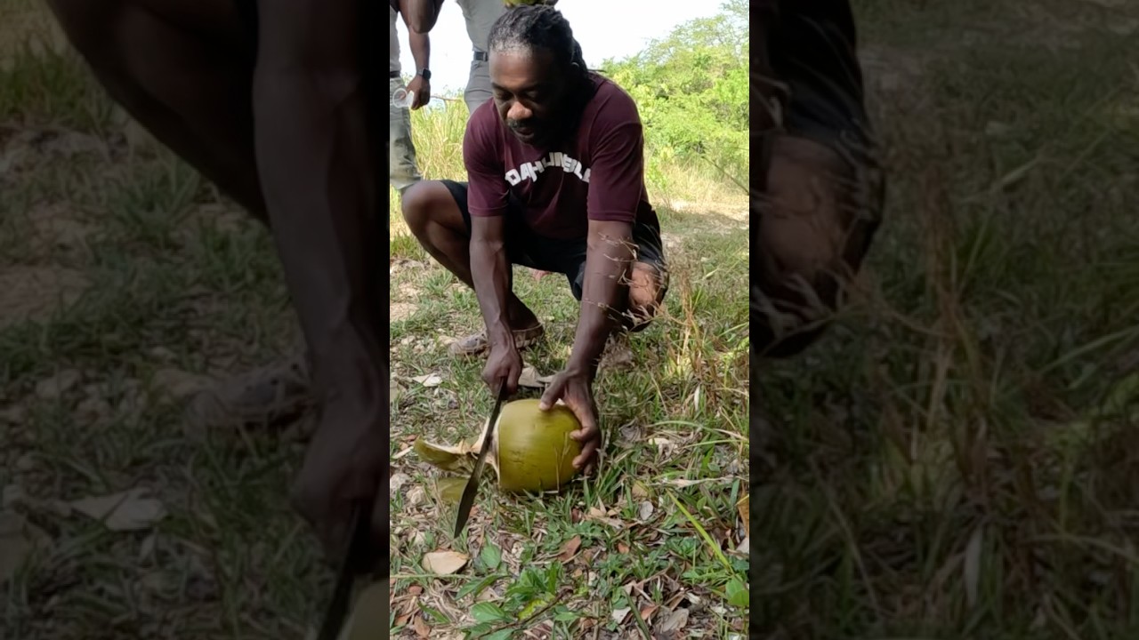 Town man VS Country Man chopping Coconut Jelly