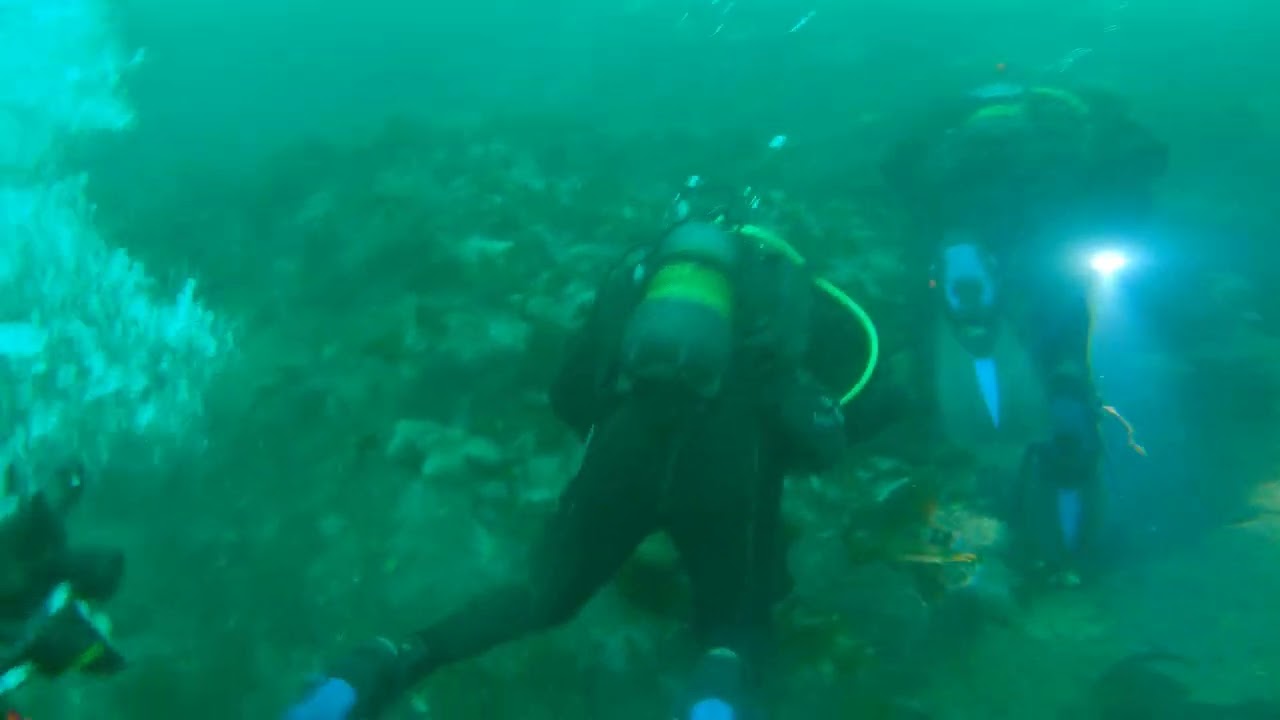 West coast Hamburgsund, Weather Islands, Väderöarna, deep dive.