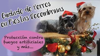 Cuidado de Perros en Fiestas Decembrinas