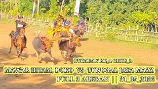 MACAN POTE, APAL & SATRIA MUDA, BRZ || GRUB_B FULL 3 ABERAN 31_05_2026 MANK ALESKA