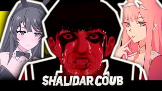 Shalidar Coub #44 | anime amv | ANIME COUBS
