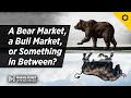 A Bear Market, a Bull Market, or Something in Between?