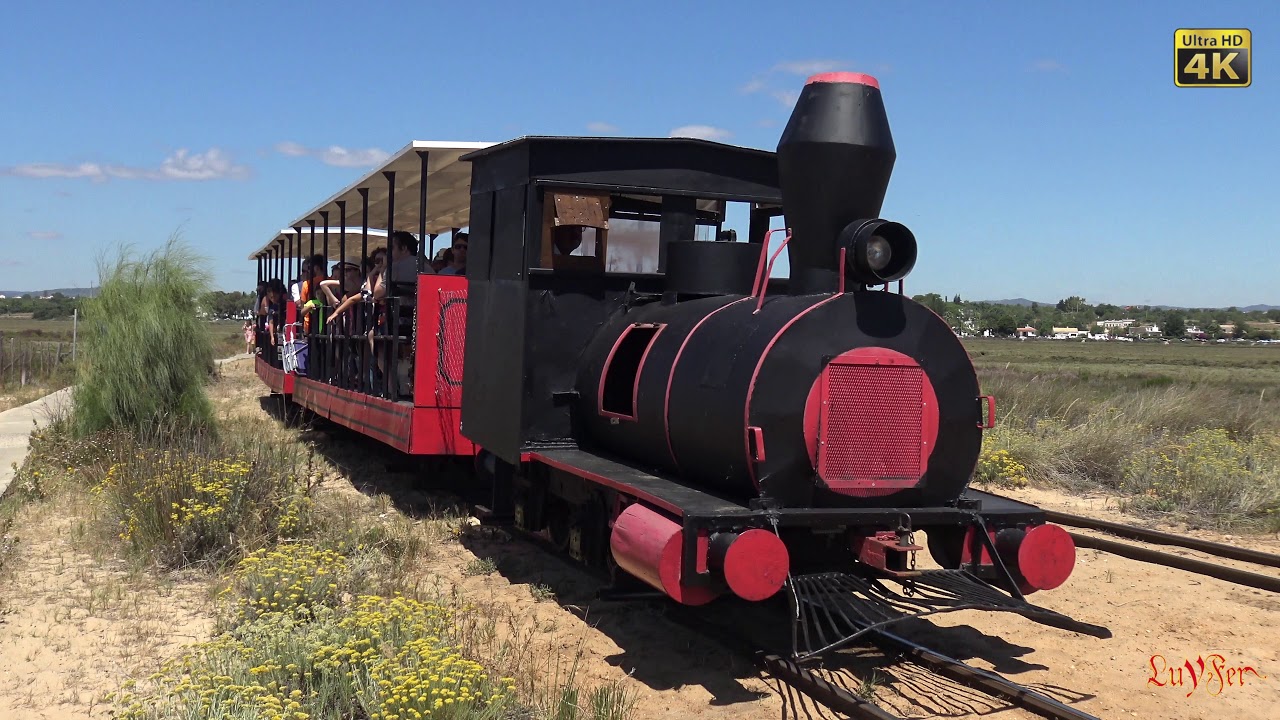 tren praia do barril 4k