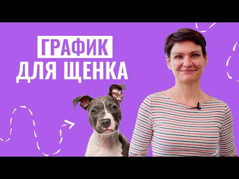 Что должен знать О ГРАФИКЕ ЩЕНКА каждый хозяин? Распорядок сна и прогулок