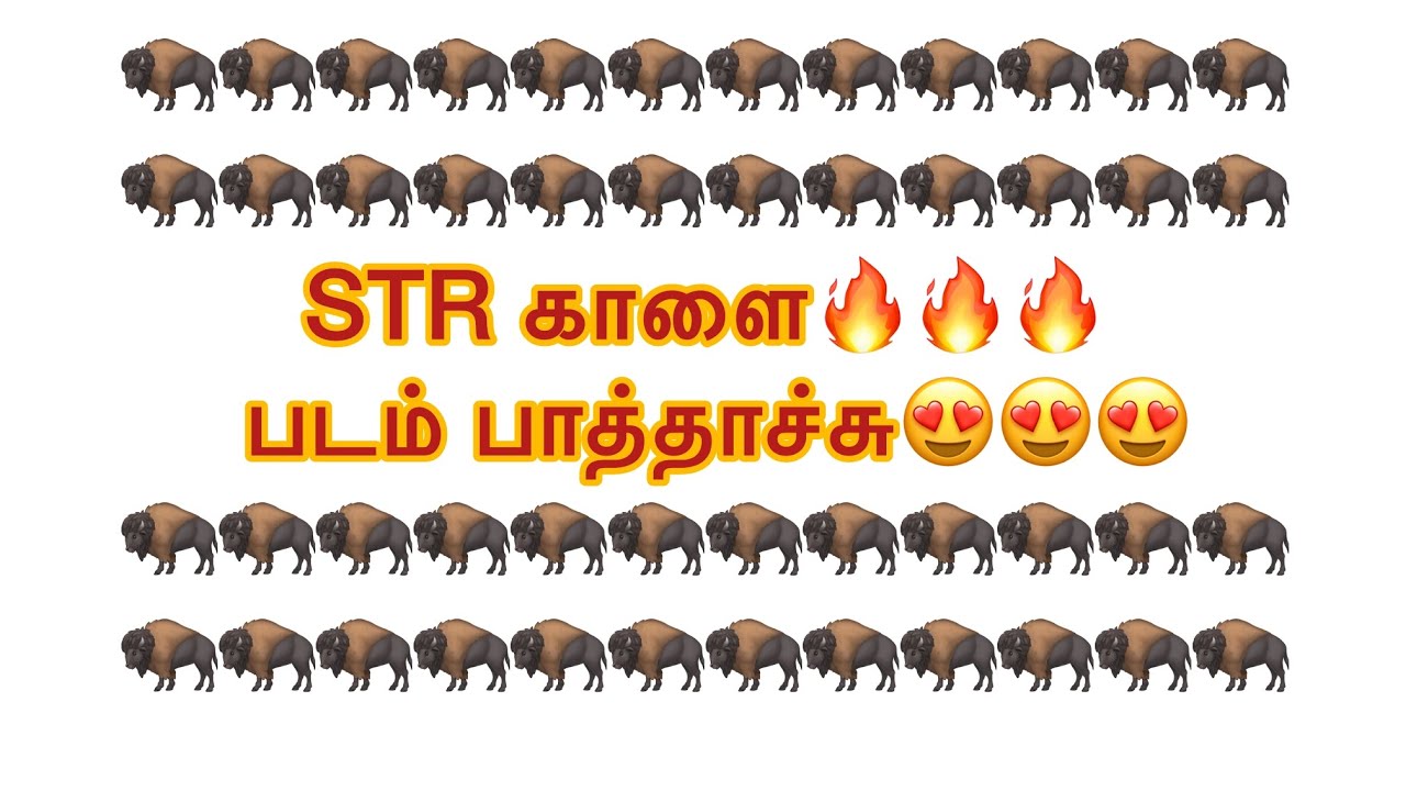 STR காளை படம் பாத்தாச்சு🦬🦬🦬| Ajithvj 