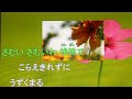 泣きみなと こおり健太 カラオケ
