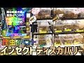 【昆虫イベント】INSECT DISCOVERY 2021に行ってきました！！【インディス】