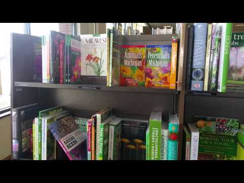 Barnes & Nobles Adventure + White Board Lesson - Knowledge is Wealth - 동영상