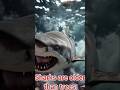“These Facts Will Blow Your Mind! Clouds Weigh Millions & Sharks Are Older Than Trees 🤯🌍