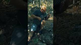 ALGARVE WILD SESSIONS — Original Guitar Compositions (Live Woods) @miguelsequeiraguitar