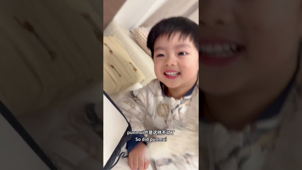 Lewen宝宝睡前聊天又在想念胖妹和西高地；理解一条生命的逝去，对乐文来说还太复杂；带着这份困惑认真生活长大，某一天胖妹会真正成为他生命叙事中不会离场的角色。