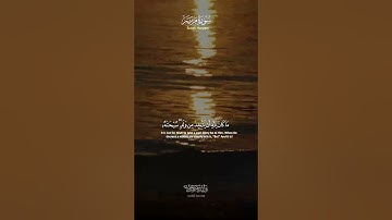 سورة مريم أيات تلامس القلوب بصوت خاشع روحي مؤثر وملهم | Surah Maryam Heart-touching Verses in a Sū